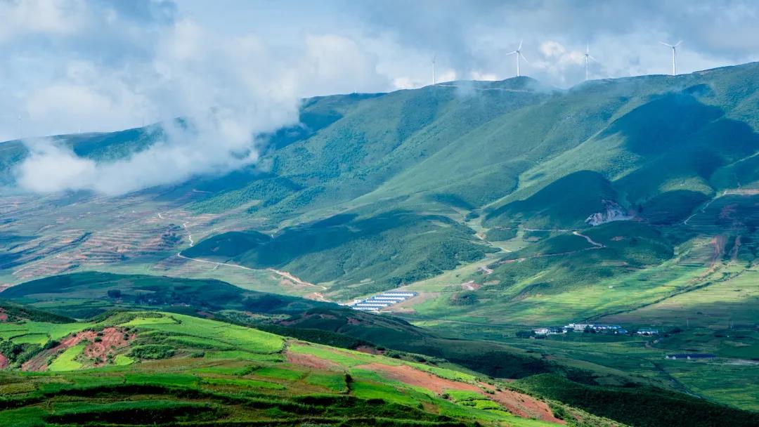 兩會時間 | 新希望集團、永好鄉村振興公益基金會聯...